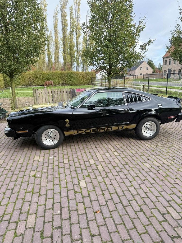 Ford mustang, Ophalen of Verzenden, Nieuw, Reclamebord