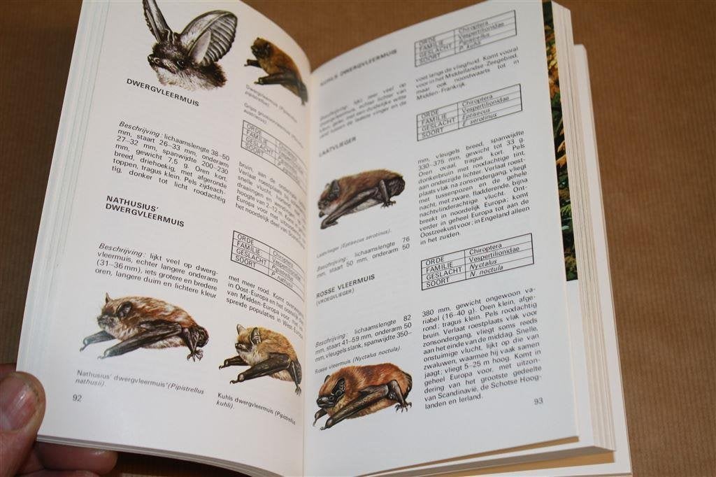 Elseviers zoogdierengids. Meer dan 230 beschreven soorten., Ophalen of Verzenden, Zo goed als nieuw, Vogels
