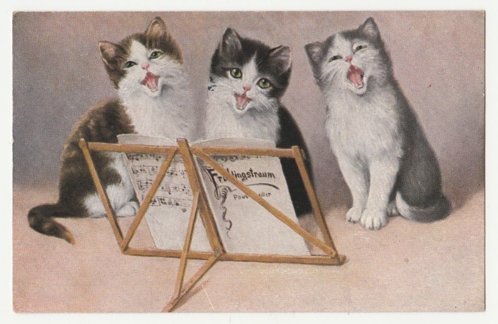 De zingende poezen., Verzenden, 1920 tot 1940, Gelopen, Overige thema's