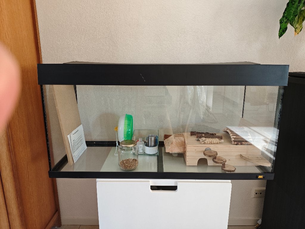 hamster teranium, Dieren en Toebehoren, Ophalen, Gebruikt, Terrarium of Paludarium
