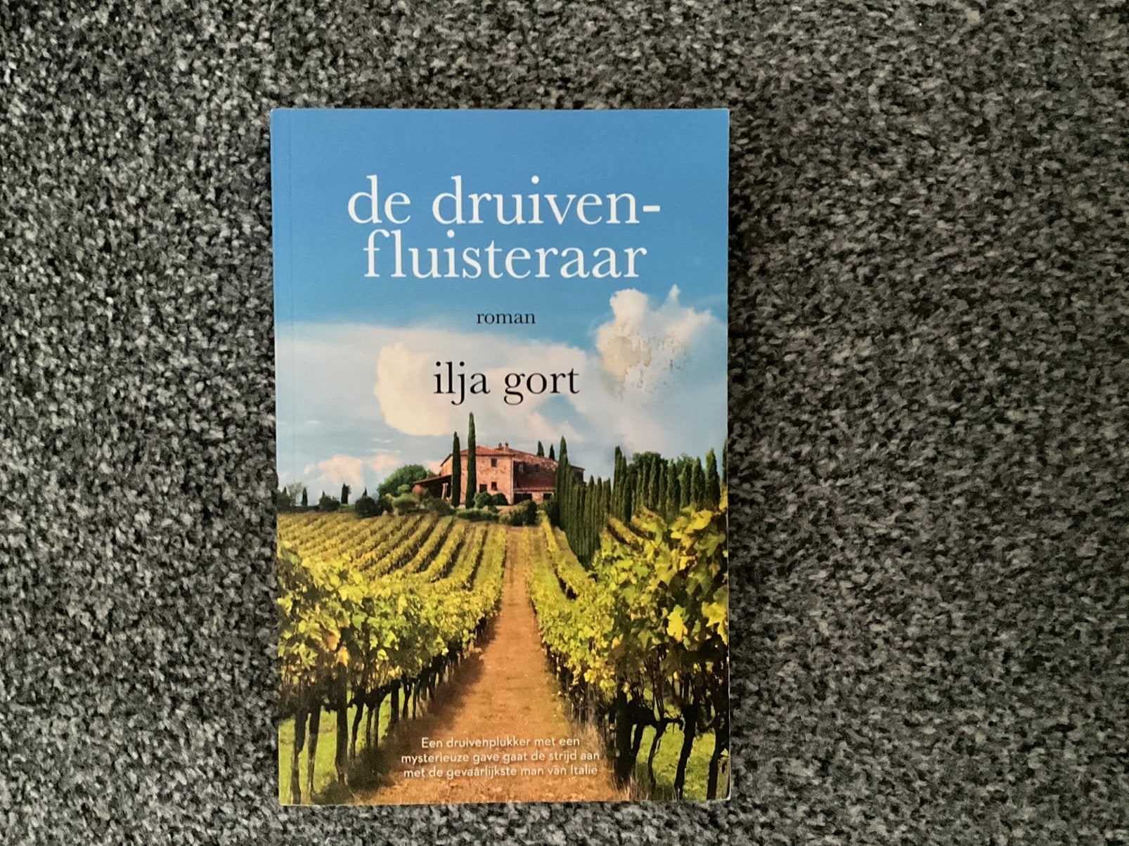 DE DRUIVENFLUISTERAAR VAN ILJA GORT, Ophalen of Verzenden, Zo goed als nieuw