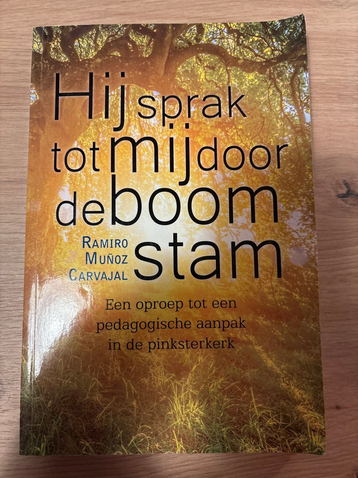 Hij sprak tot mij door de boomstam - Ramiro Muñoz Carvajal, Ophalen of Verzenden, Zo goed als nieuw, Christendom | Protestants