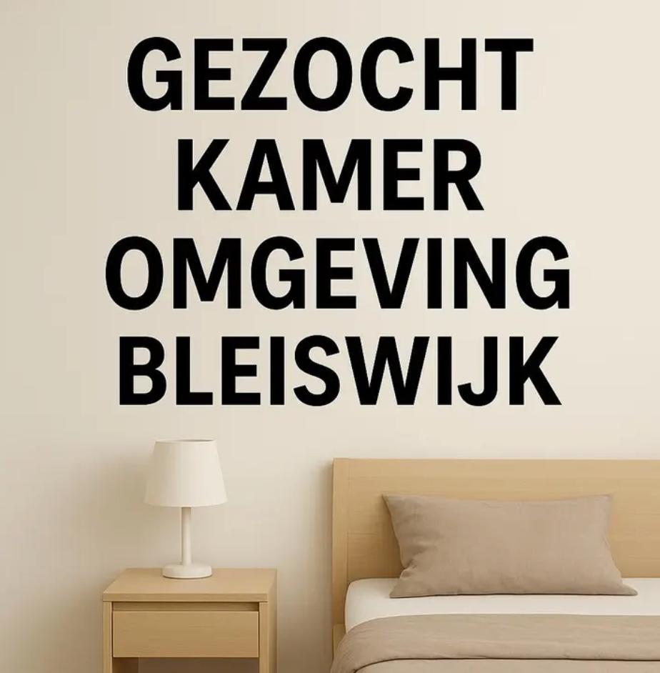 Kamer / studio gezocht / omgeving Bleiswijk, Huizen en Kamers, Op zoek naar een kamer