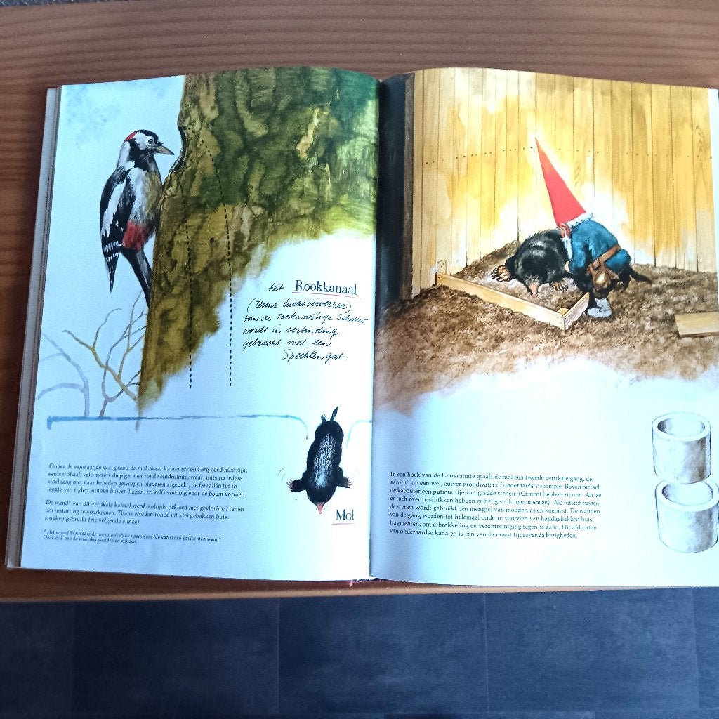 De kabouter, Rien Poortvliet, Ophalen of Verzenden