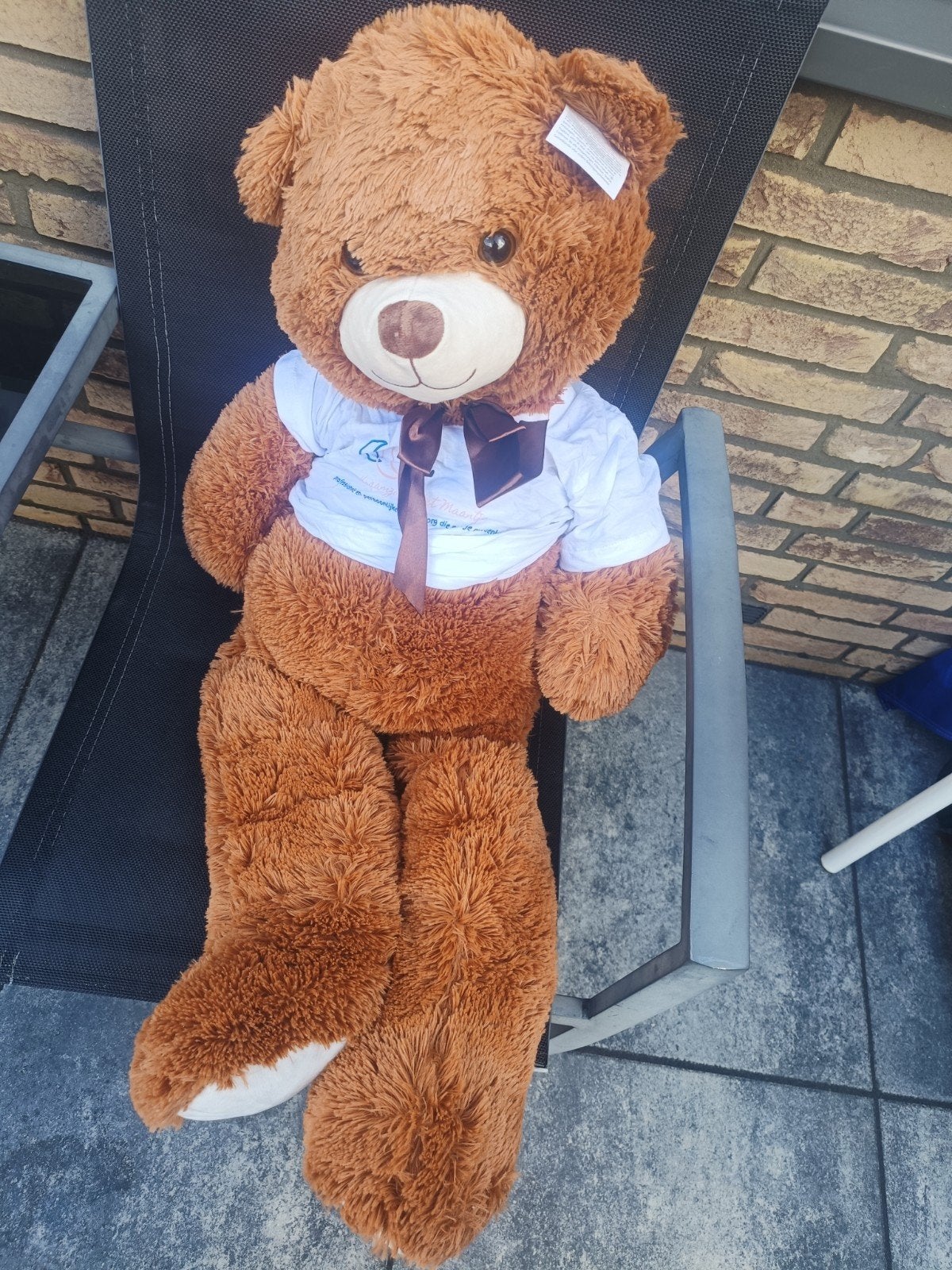 Grote knuffelbeer met strik en T-shirt, Ophalen, Zo goed als nieuw