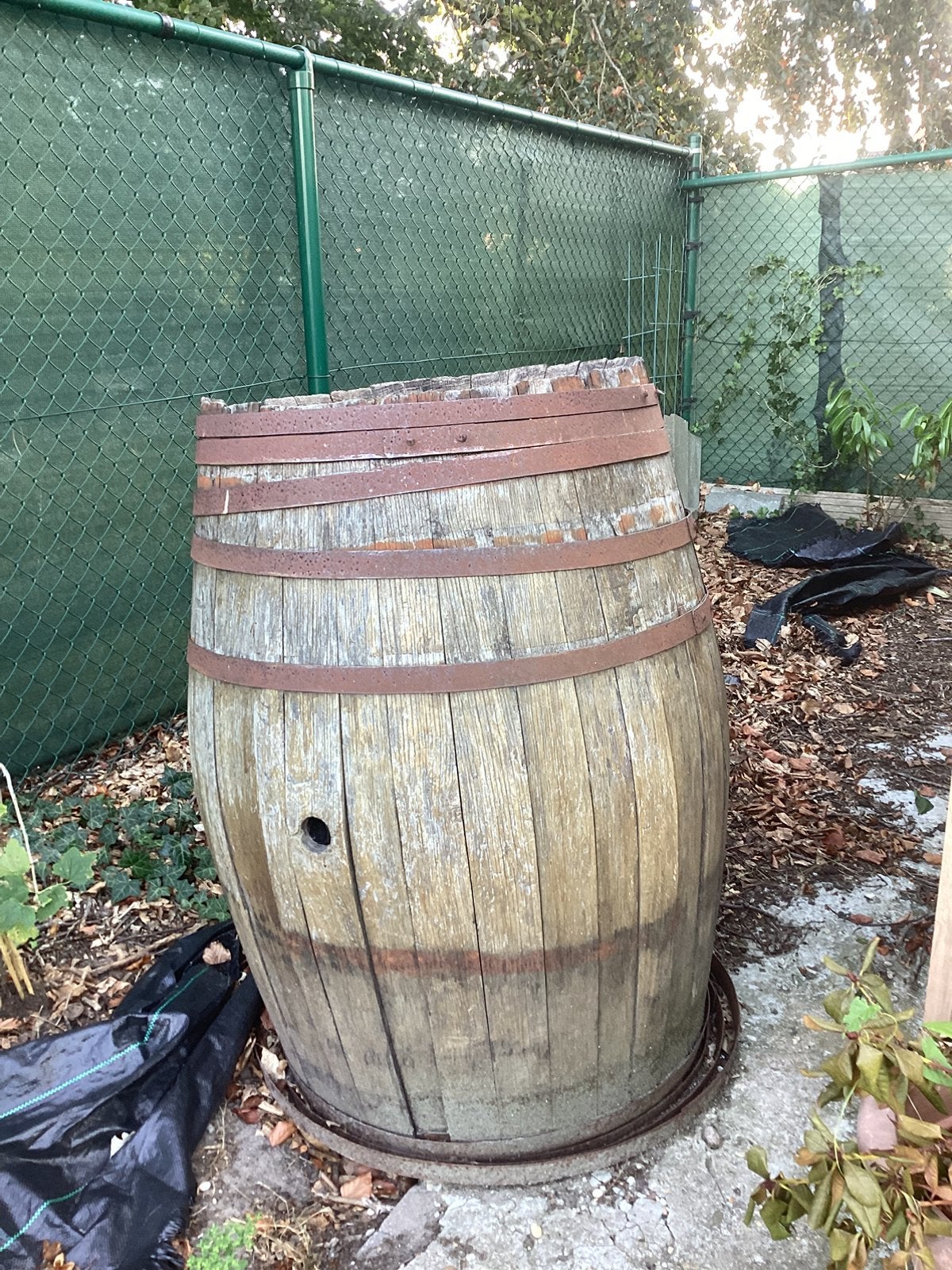 Eiken wijnvat, 150 liter of meer, Ophalen, Gebruikt, Hout