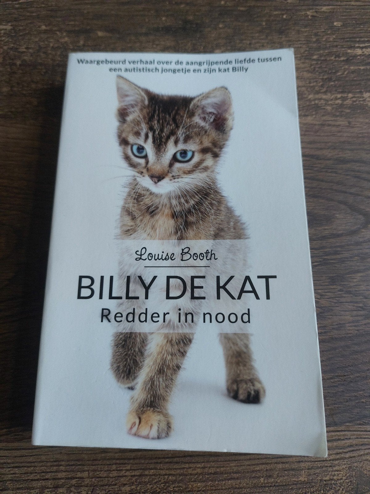 Billy de kat redder in nood Louise Booth, Verzenden, Gelezen