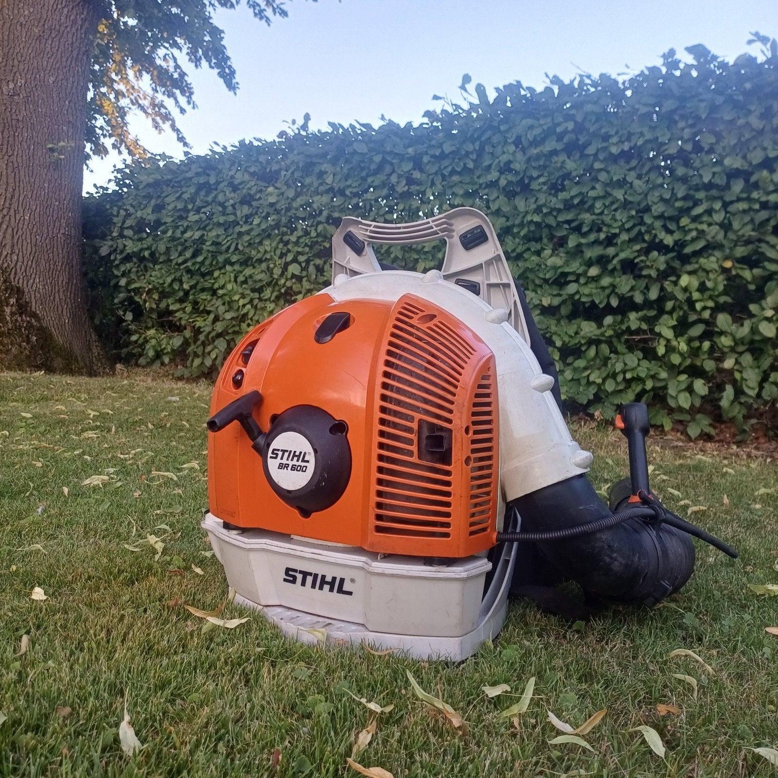 Stihl BR 600 Rugbladblazer, Tuin en Terras, Bladblazers, Ophalen of Verzenden