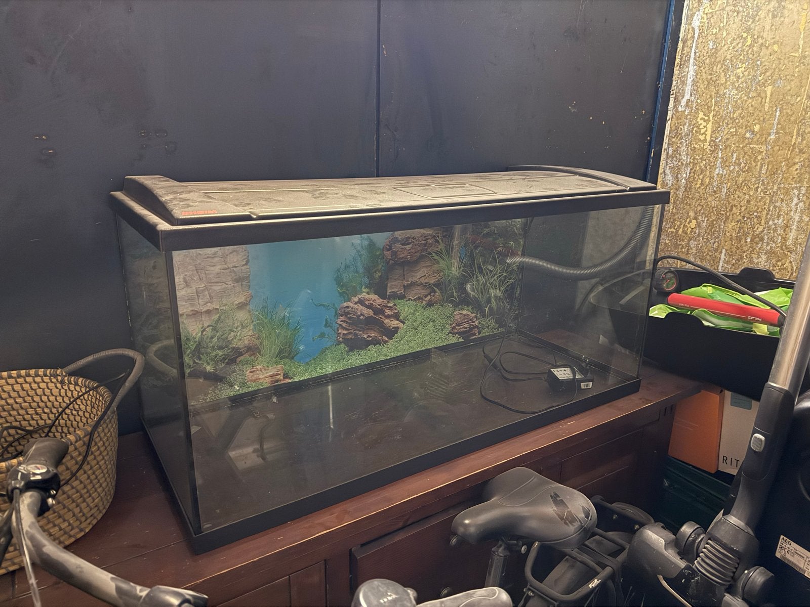 Aquarium, Ophalen, Zo goed als nieuw, Leeg aquarium