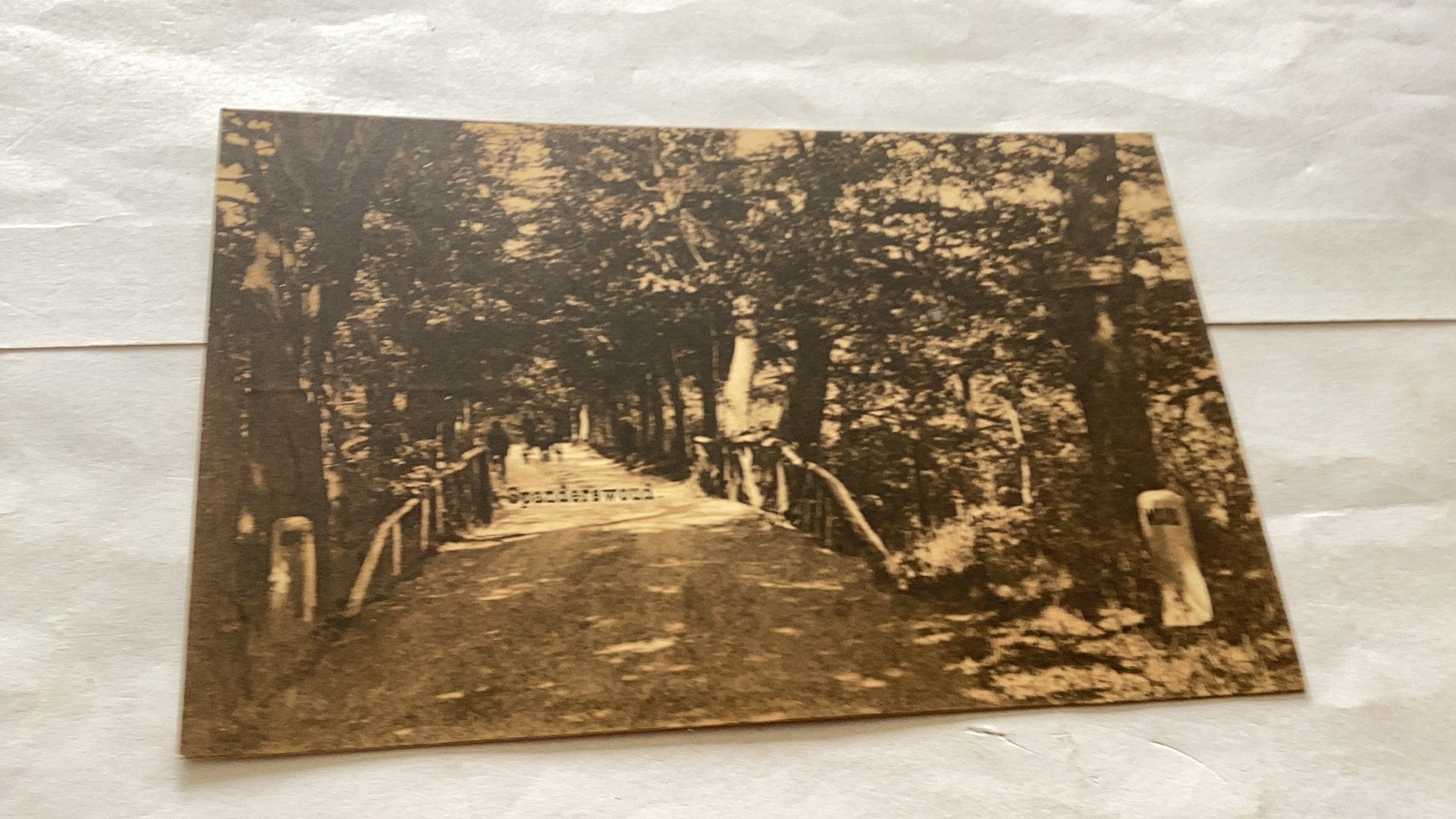 Sparnewoud, Uitg. Nauta, Velsen de Wouden, Ophalen of Verzenden, Voor 1920, Gelopen