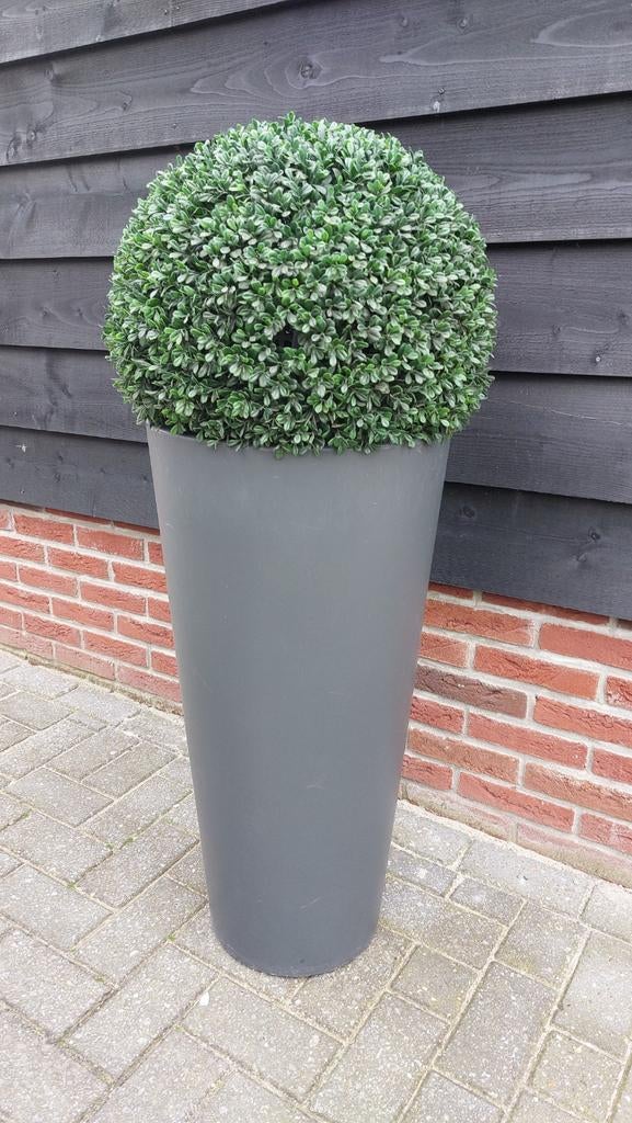 Elho dubbelwandige kunststof bloempot met kunst buxusbol, Kunststof, Gebruikt, Rond, 70 cm of meer