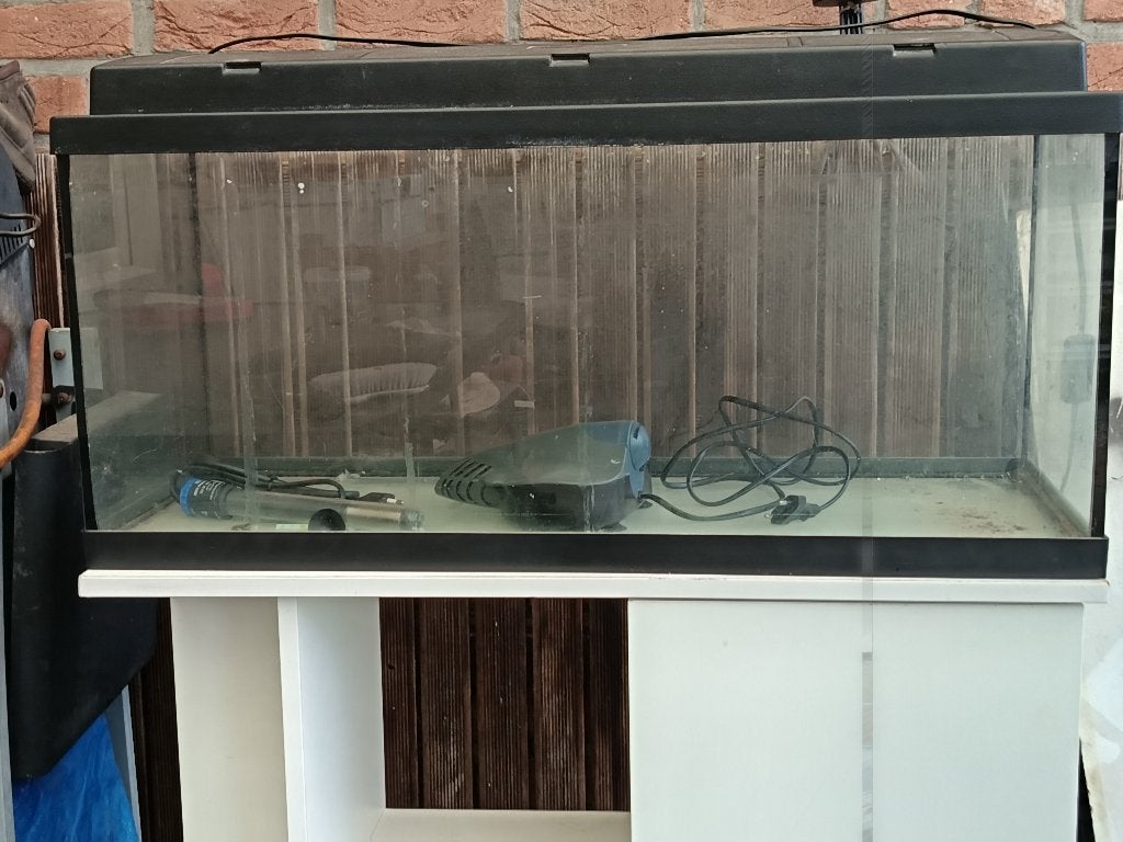 Aqarium, Ophalen, Inclusief deksel, Gebruikt, Leeg aquarium