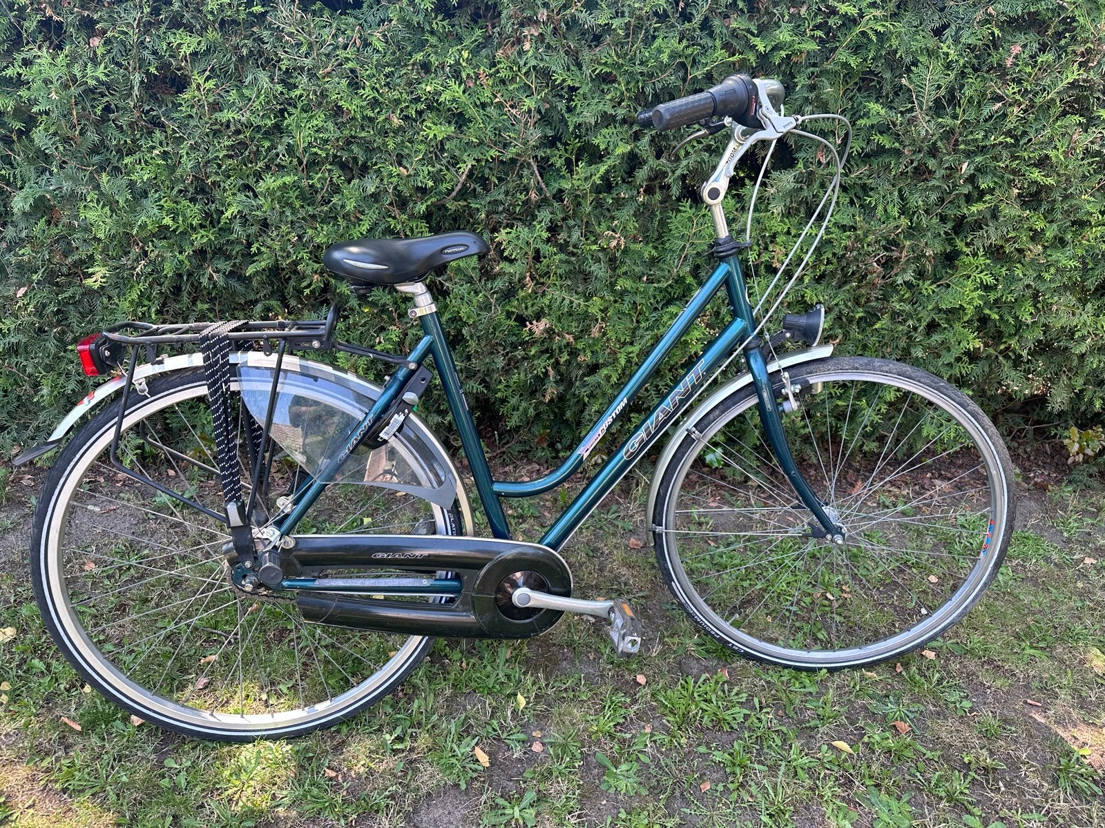 Giant Custom 4130 Chromoly Damesfiets, Ophalen, Velgrem, Versnellingen, Giant