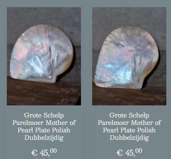 Mother of pearl schelp xl, Ophalen of Verzenden, Schelp(en)