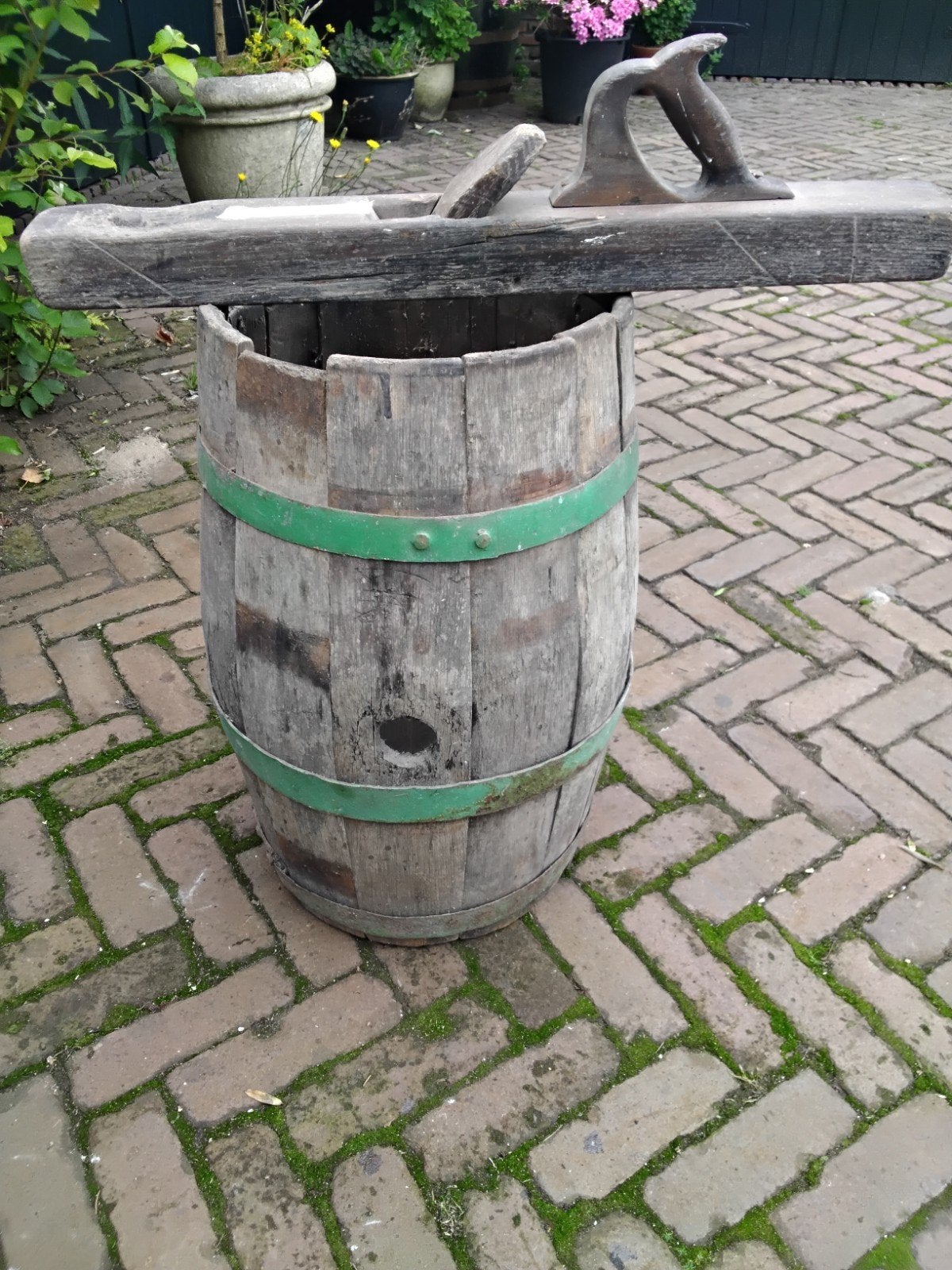 Rijsschaaf, Ophalen of Verzenden