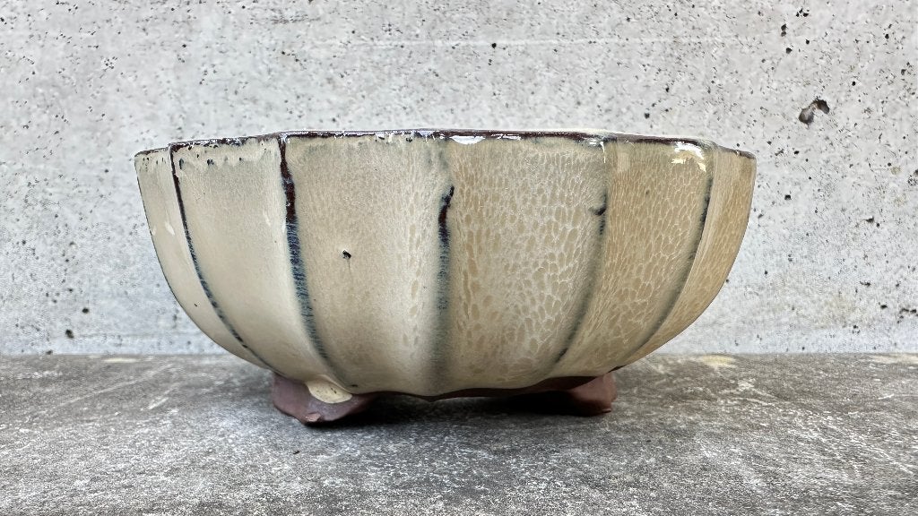 Bonsai schaal pot Ø13,5x5,5cm (5*), Ophalen of Verzenden, Zo goed als nieuw, Overige vormen, Aardewerk