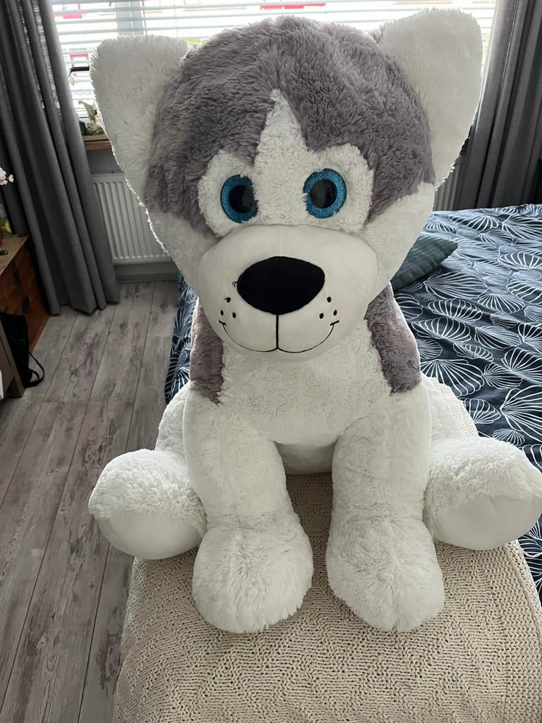 Knuffels, Ophalen of Verzenden, Zo goed als nieuw, Overige typen