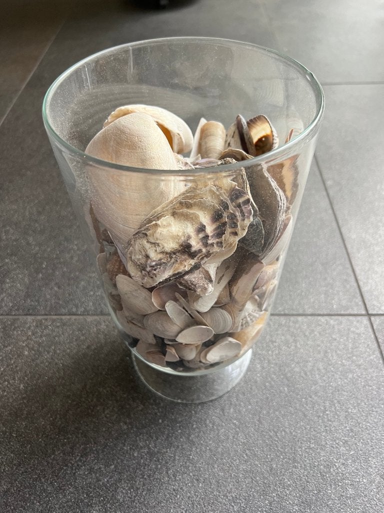 glazen vaas pot met schelpen 30 cm x 16 cm, Ophalen