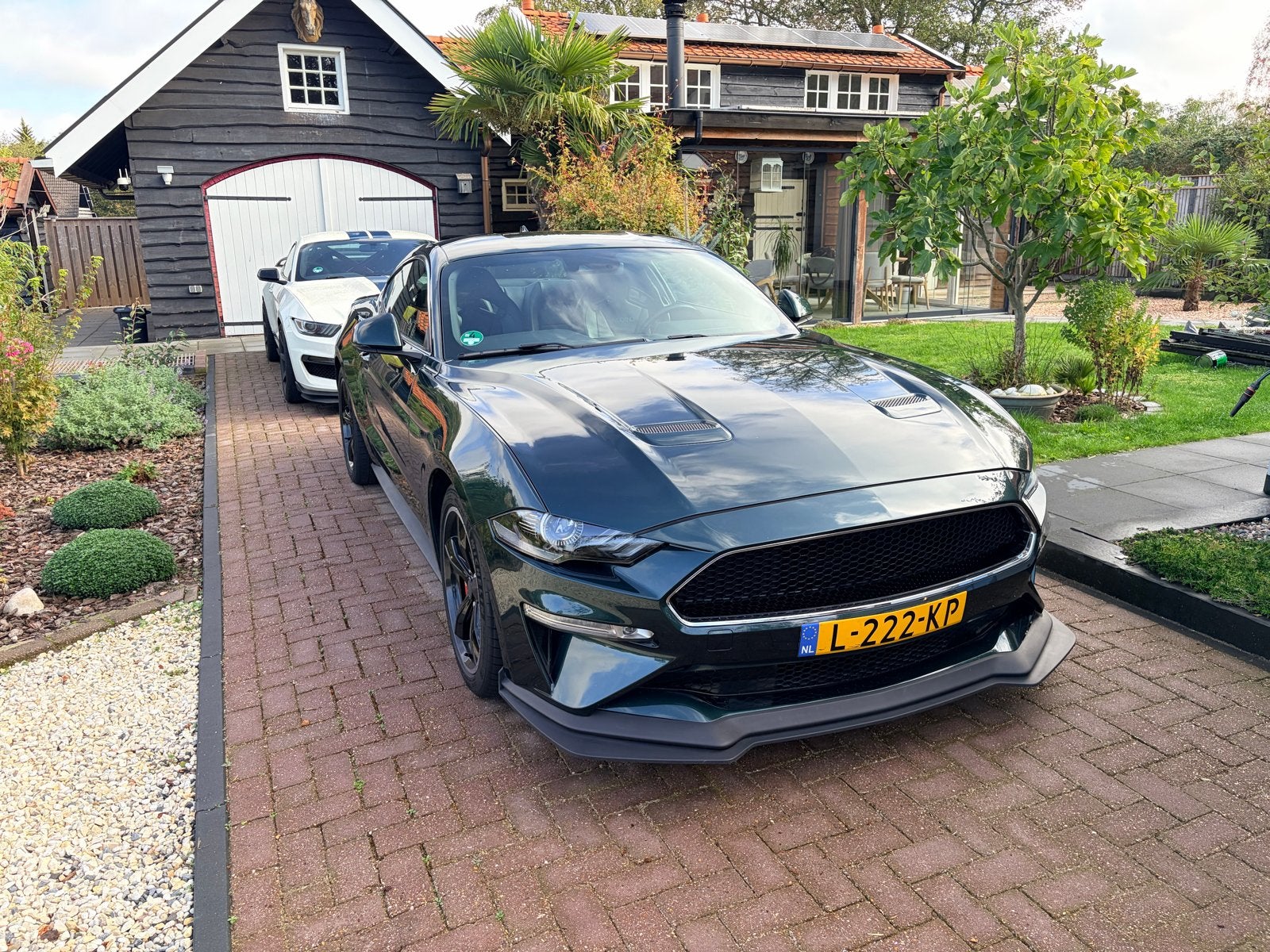 Ford Mustang 5.0 V8 480pk 2019 Groen, Achterwielaandrijving, 460 pk, 8 cilinders, 4 stoelen