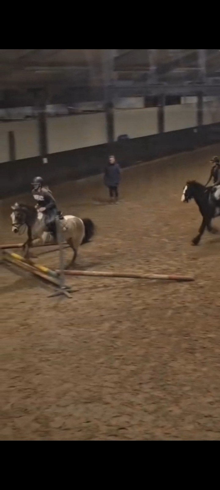 Verzorg of bijrijd pony gezocht Enschede, Ophalen of Verzenden
