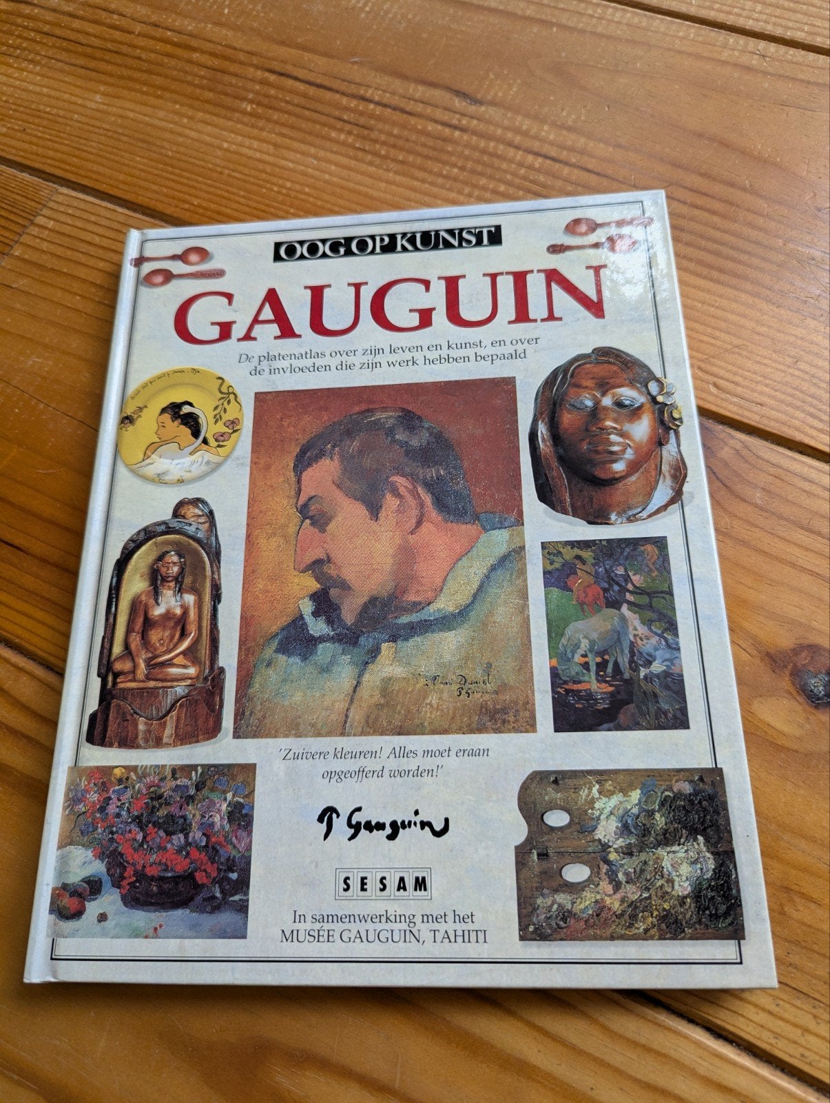 Oog op Kunst: Gauguin - Boek over leven en werk, Ophalen of Verzenden, Zo goed als nieuw, Schilder- en Tekenkunst, Paul Gauguin