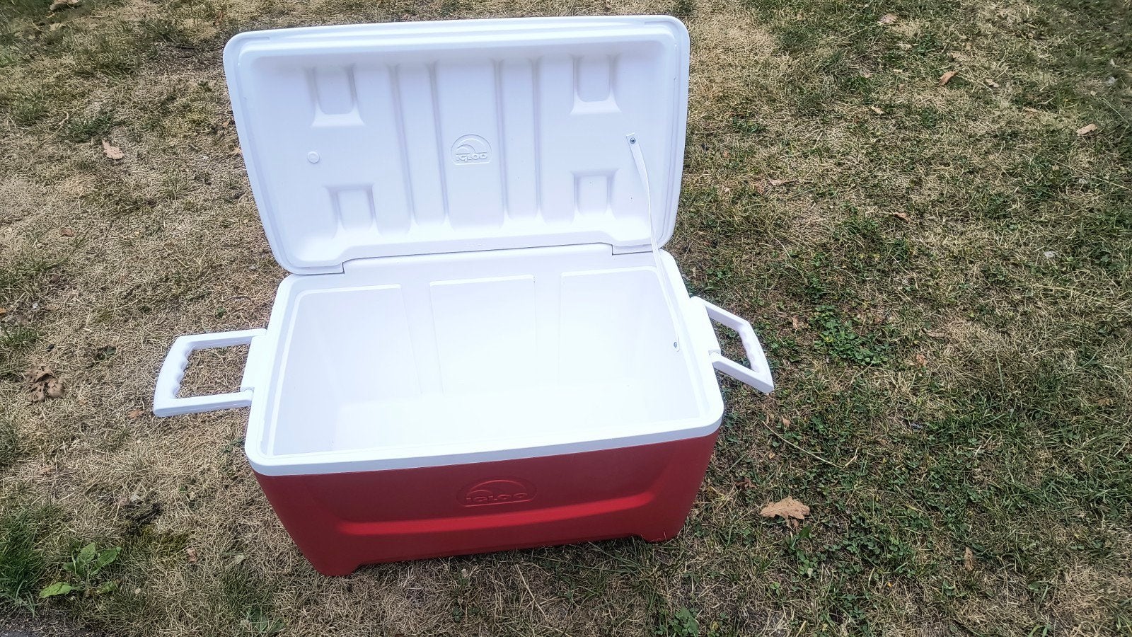 igloo. 50 ltr  koelbox zgan, Ophalen of Verzenden, Zo goed als nieuw, Koelbox, Koelelement