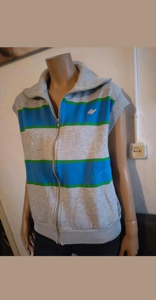 Leuke grijs blauw groene bodywarmer maat 40 M, Kleding | Dames, Bodywarmers, Ophalen of Verzenden, Gedragen, Maat 38/40 (M), Blauw
