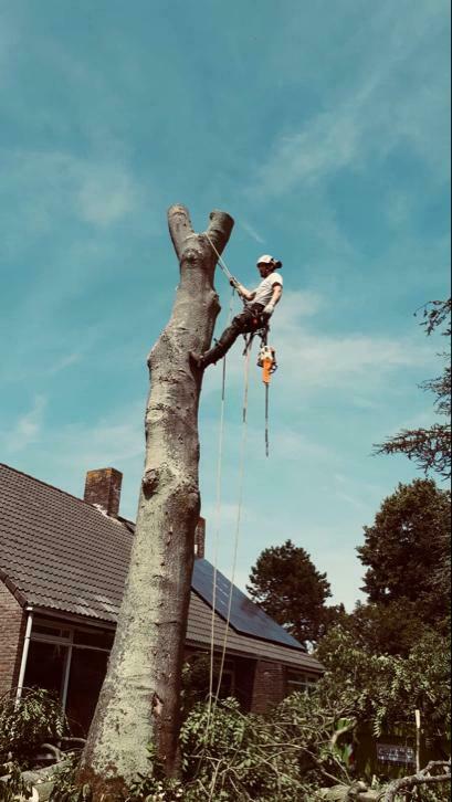 Laroo Boomverzorging bomen kappen, snoeien, stormpreventie, Garantie, Tuinonderhoud of Snoeiwerk