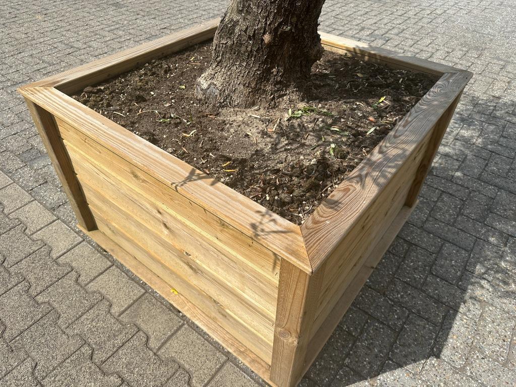 Olijfboom in houten geimpregneerde bloembak te koop!!!!, Tuin en Terras, Planten | Bomen, Ophalen of Verzenden, Olijfboom, 250 tot 400 cm