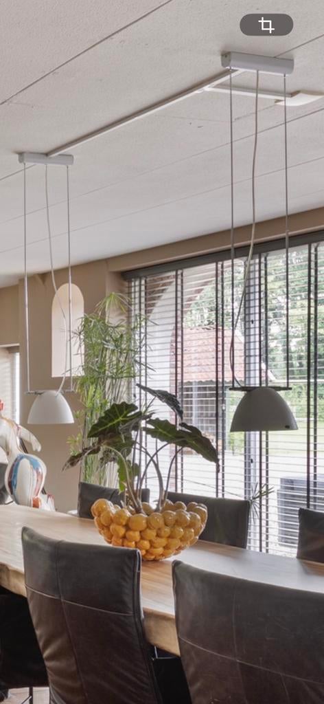 Lumina Omicron 1 Hanglamp, Ophalen, Gebruikt, 50 tot 75 cm, Metaal