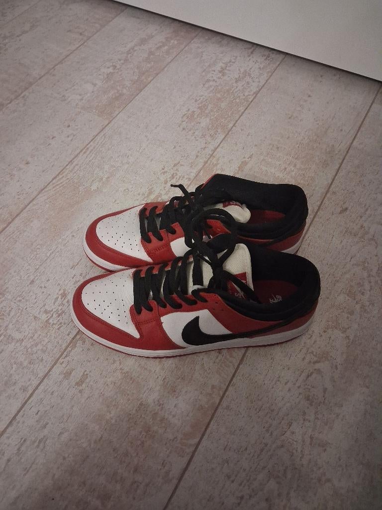 Nike sb chicago, Overige kleuren, Nike, Nieuw, Ophalen of Verzenden