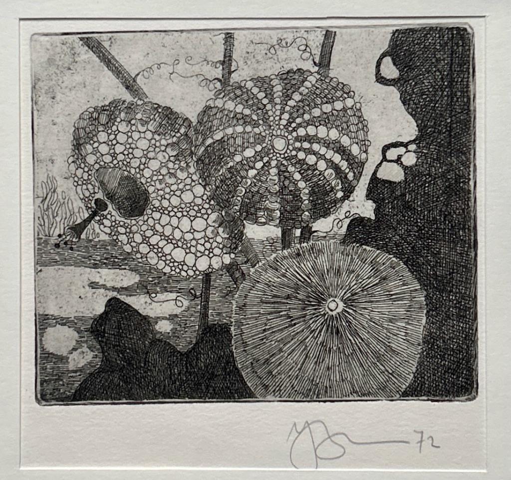 2 etsen Jan Bernard Meinen in passe-partout, Antiek en Kunst, Verzenden