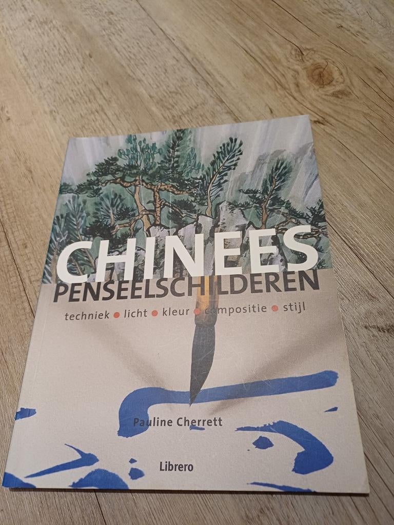 Chinees penseelschilderen boek, Hobby en Vrije tijd, Schilderen, Zo goed als nieuw, Overige typen, Ophalen of Verzenden