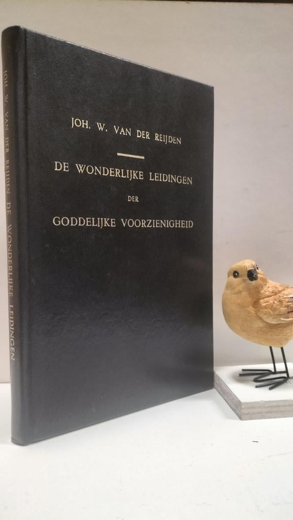 Reijden, Joh. W. van der; De wonderlijke leidingen der, Boeken, Ophalen of Verzenden, Gelezen, Christendom | Protestants