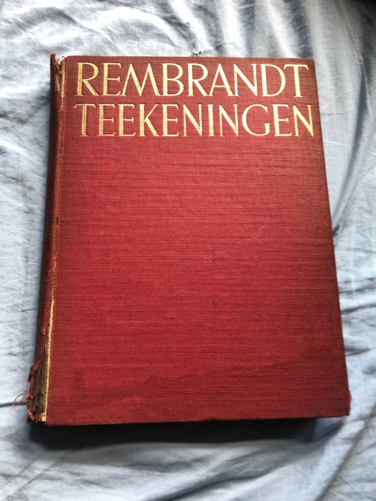 Rembrandt Teekeningen - Kunstboek, Ophalen of Verzenden, Gelezen, Schilder- en Tekenkunst