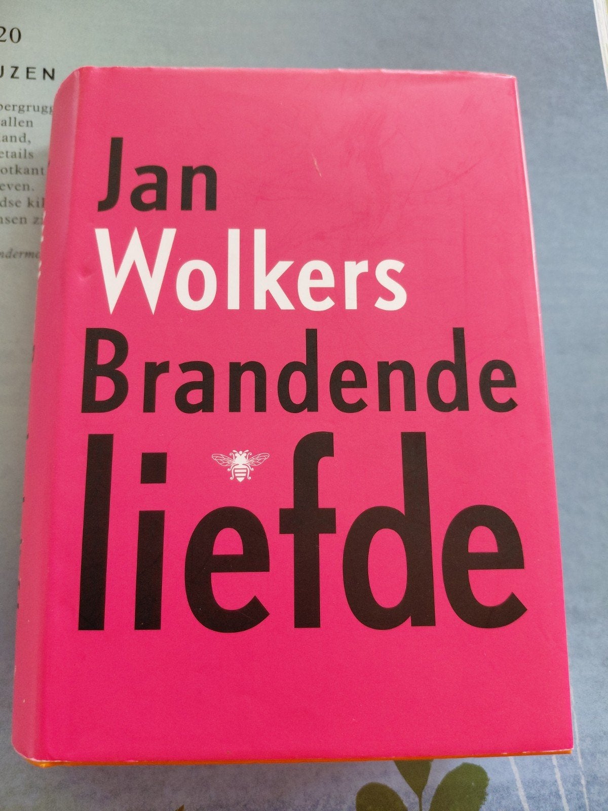 Jan Wolkers - Brandende Liefde (roman), Ophalen of Verzenden, Gelezen, Jan Wolkers, Nederland