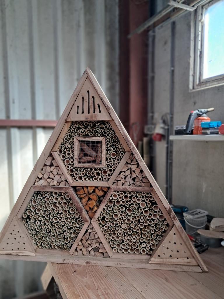 Insectenhotel, Vlinders of Rupsen