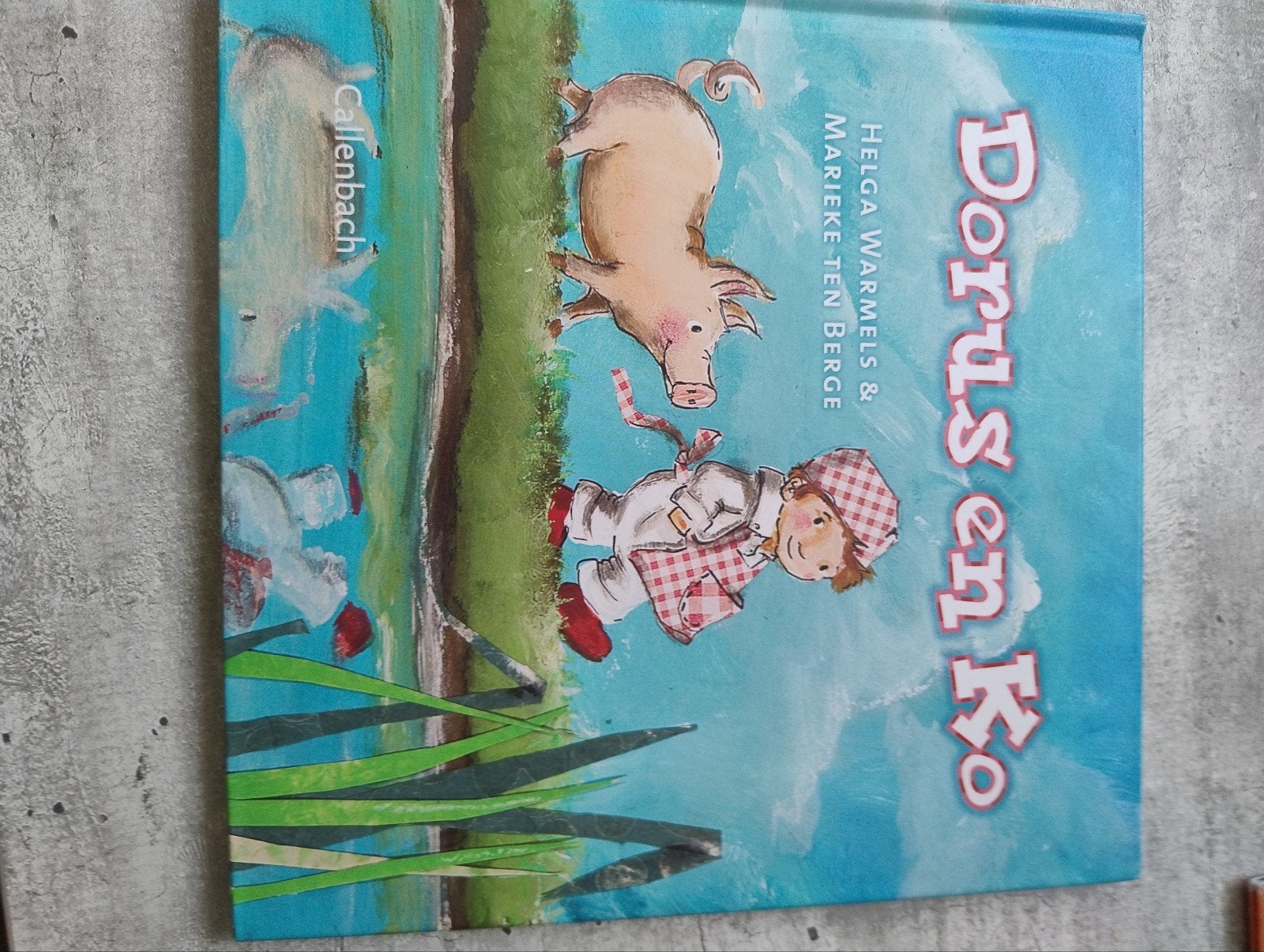 Dorus en Ko - Hartverwarmend verhaal over vriendschap, Boeken, Fictie algemeen, Jongen of Meisje, Ophalen of Verzenden, Zo goed als nieuw