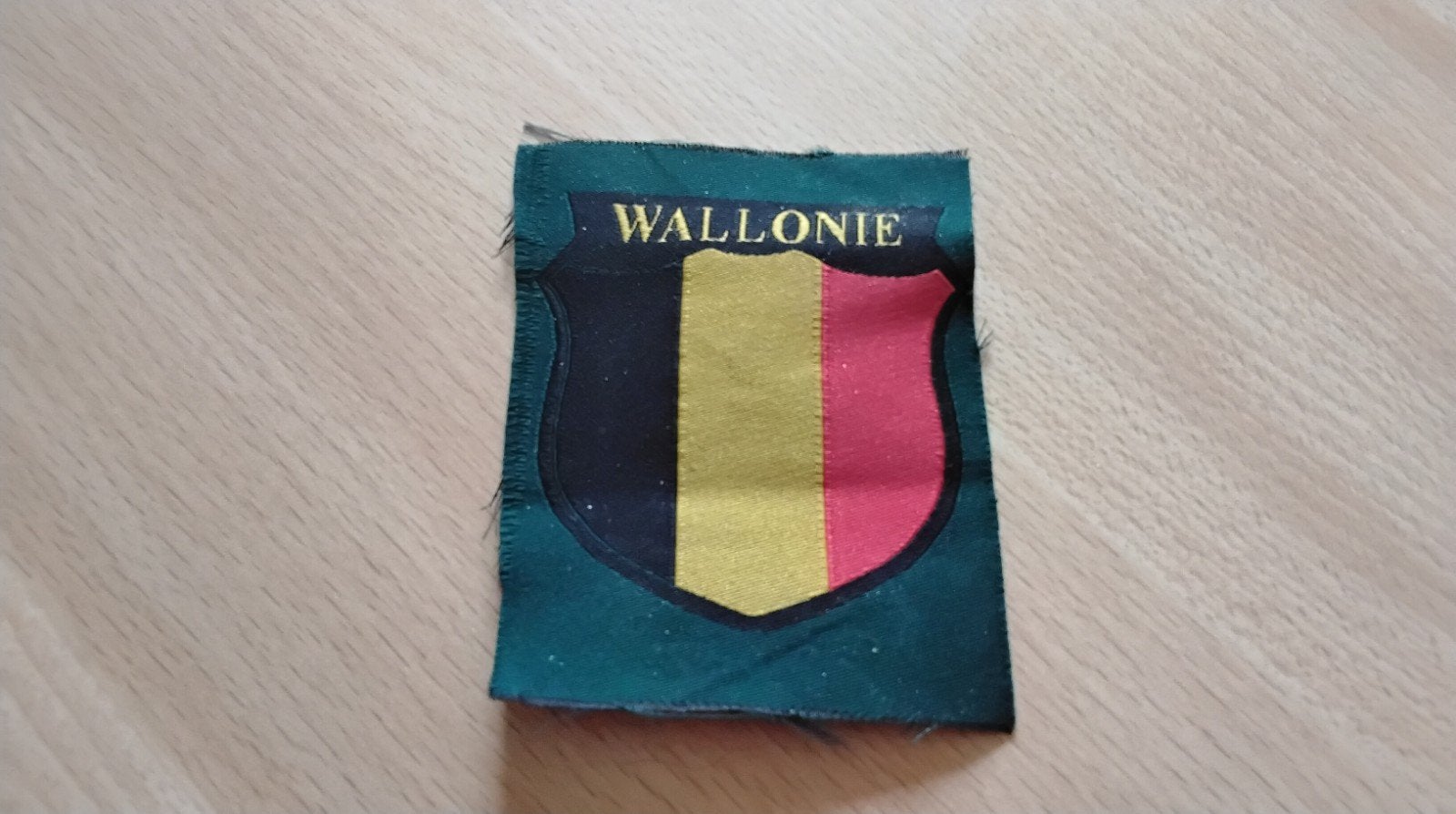 Armschild " Wallonie ", Ophalen of Verzenden, Nederland