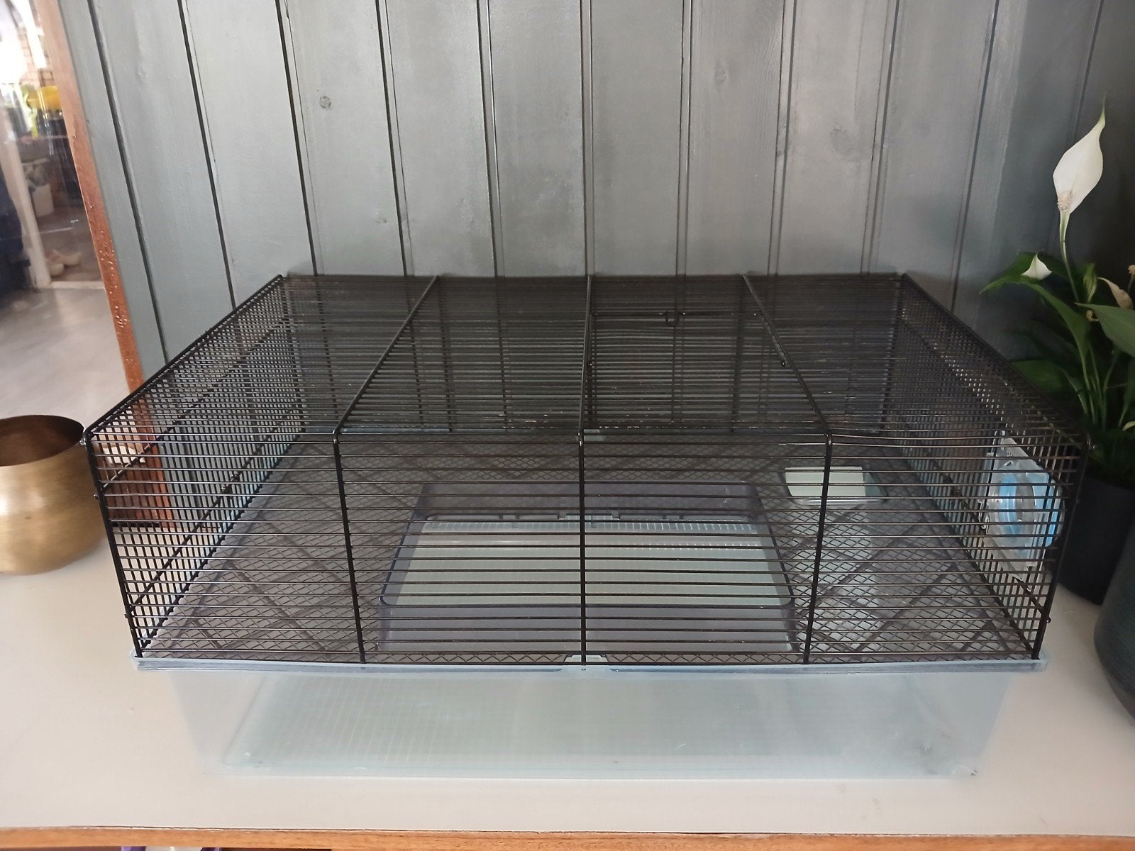 Hamsterhok met diverse spulletjes voor in het hok, Dieren en Toebehoren, Minder dan 60 cm, Gebruikt, Minder dan 75 cm, Ophalen of Verzenden