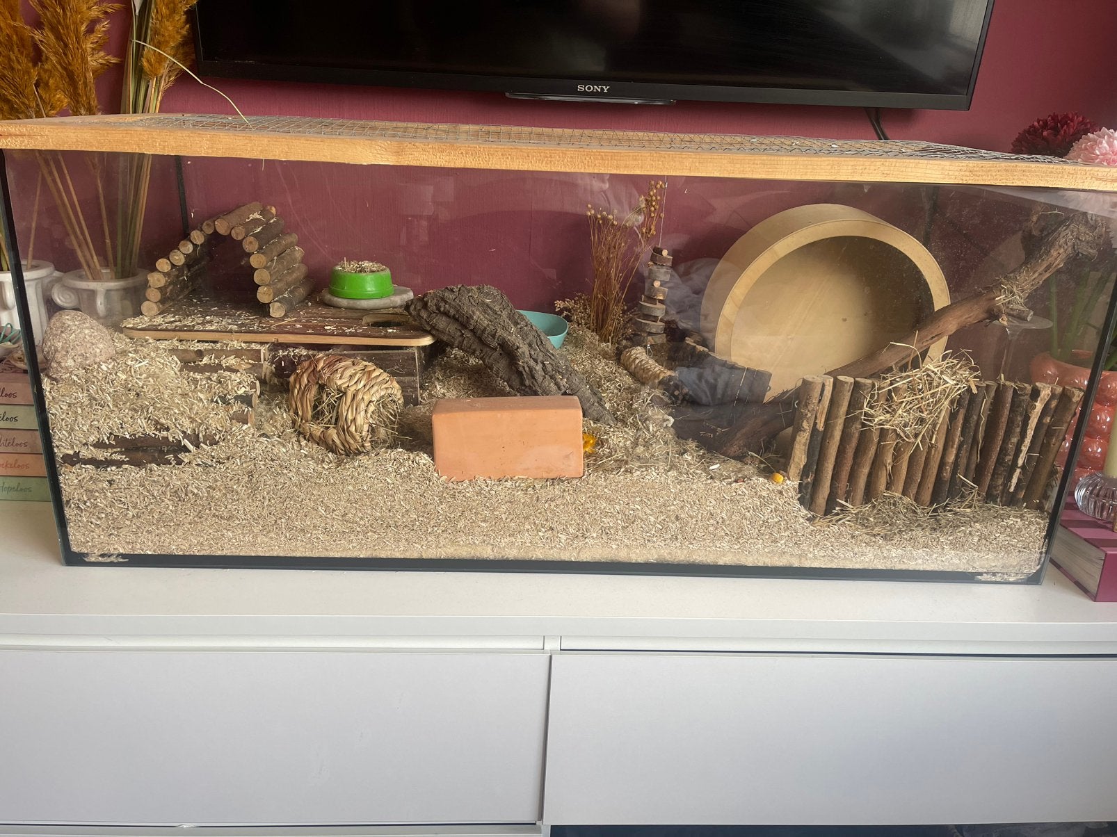 Hamsterkooi, Dieren en Toebehoren, Knaagdieren en Konijnen | Hokken en Kooien, Kooi, Zo goed als nieuw, Muis, 75 tot 110 cm