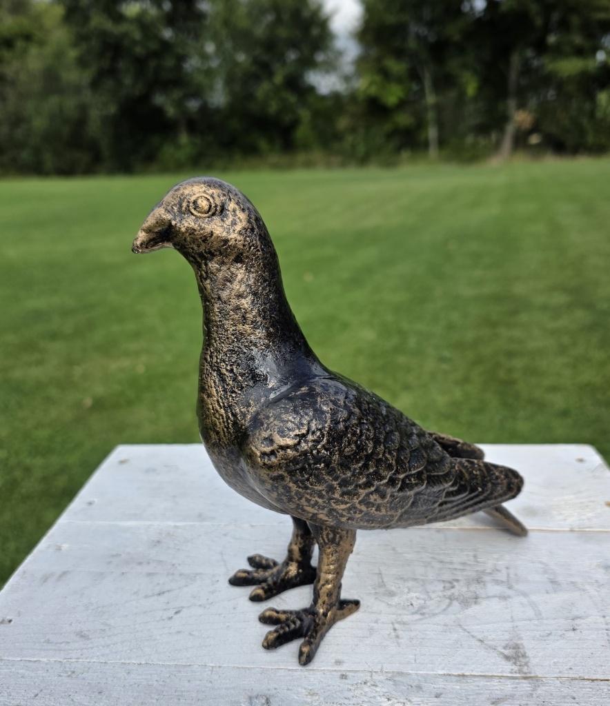 DUIF / GIETIJZER / VOGEL, Tuin en Terras, Tuinbeelden, Dierenbeeld, Nieuw, Metaal, Info@huisentuindecoratiemarie.nl