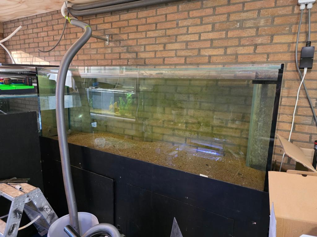 Aquarium 200x60x70, Optic white voorkant, Dieren en Toebehoren, Vissen | Aquaria en Toebehoren, Gebruikt, Leeg aquarium, Ophalen