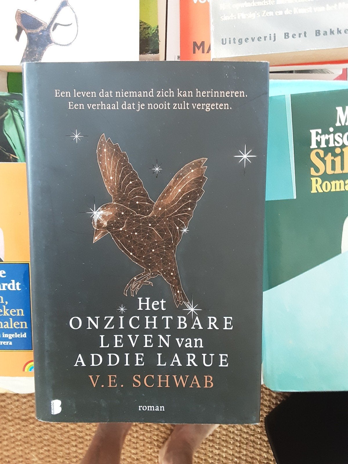 V.E.Schwab, Ophalen of Verzenden