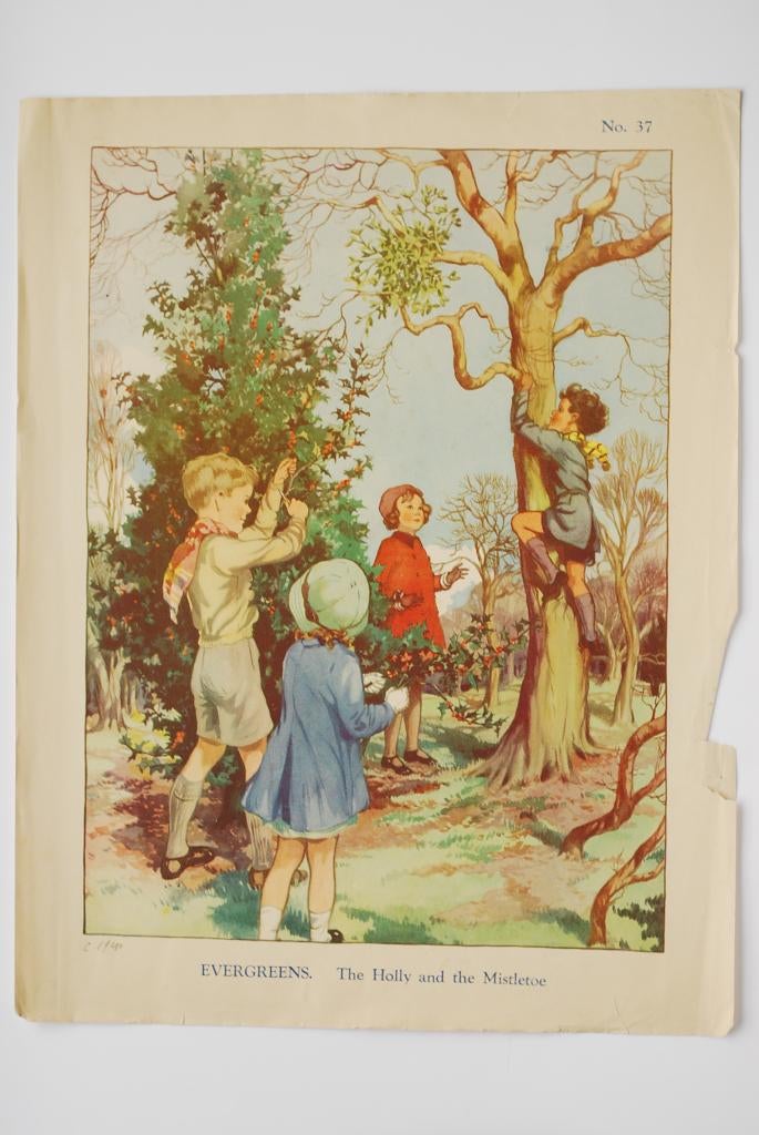 De Hulst en de Maretak - Schoolposter jaren 30, Verzenden, Natuur en Biologie