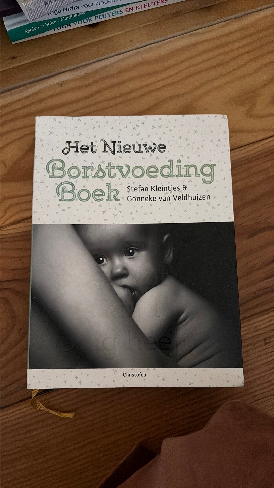 Kleintjes & Veldhuizen Het nieuwe borstvoedingboek, Ophalen of Verzenden, Zo goed als nieuw, Gonneke Veldhuizen-Staas; Stefan Kleintjes