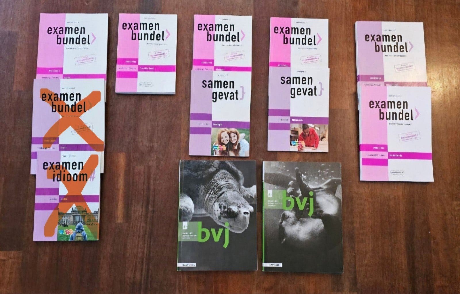 Vmbo gt / mavo boeken, Boeken, Ophalen of Verzenden, Zo goed als nieuw, VMBO