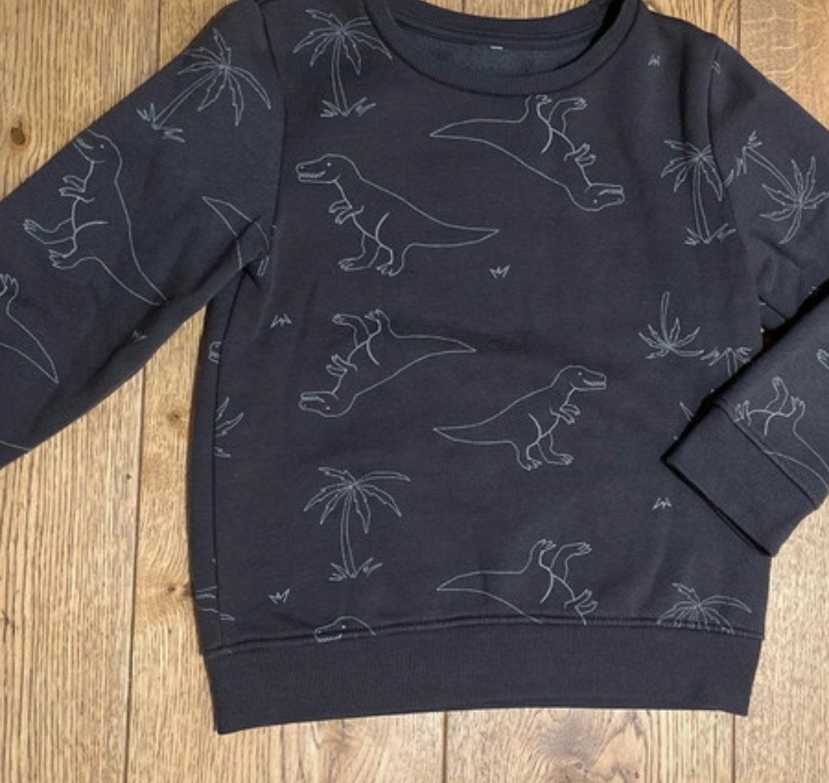 Stoere trui met dinosaurussen - maat 116, Kinderen en Baby's, Ophalen, Gebruikt, Jongen, Trui of Vest