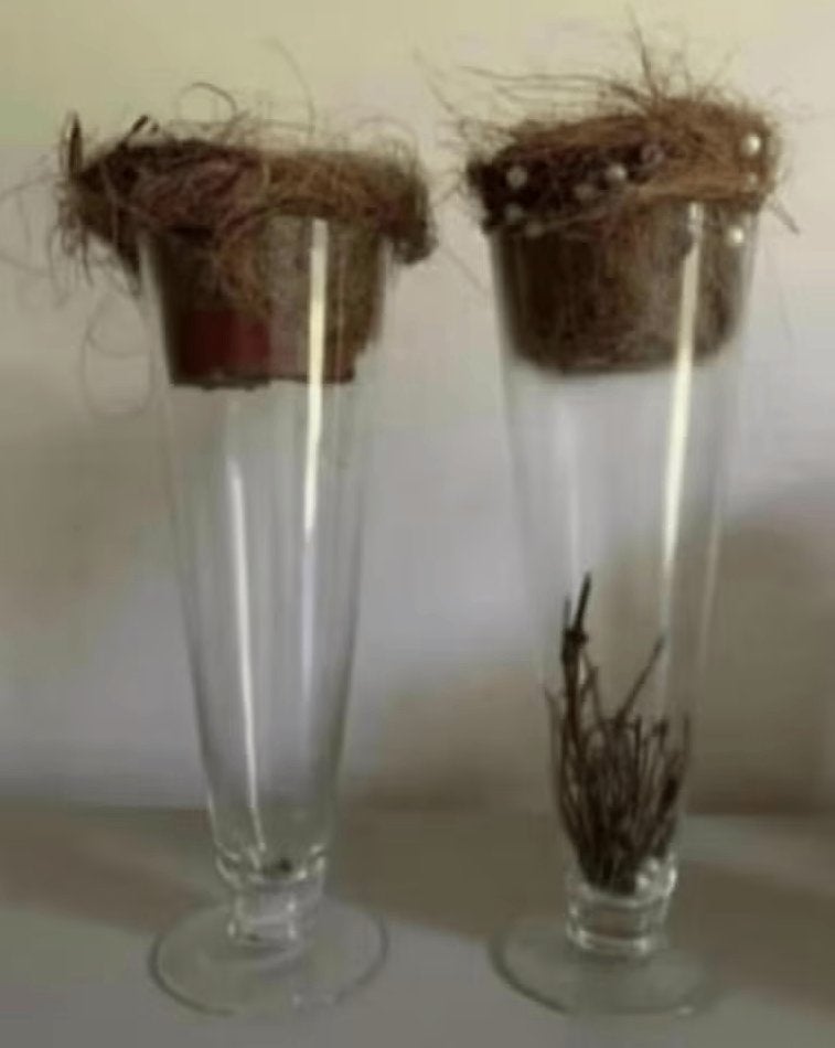 2 hoge en smalle glazen vazen, bloempotten glas; 30 cm hoog, Ophalen of Verzenden, Zo goed als nieuw, Glas