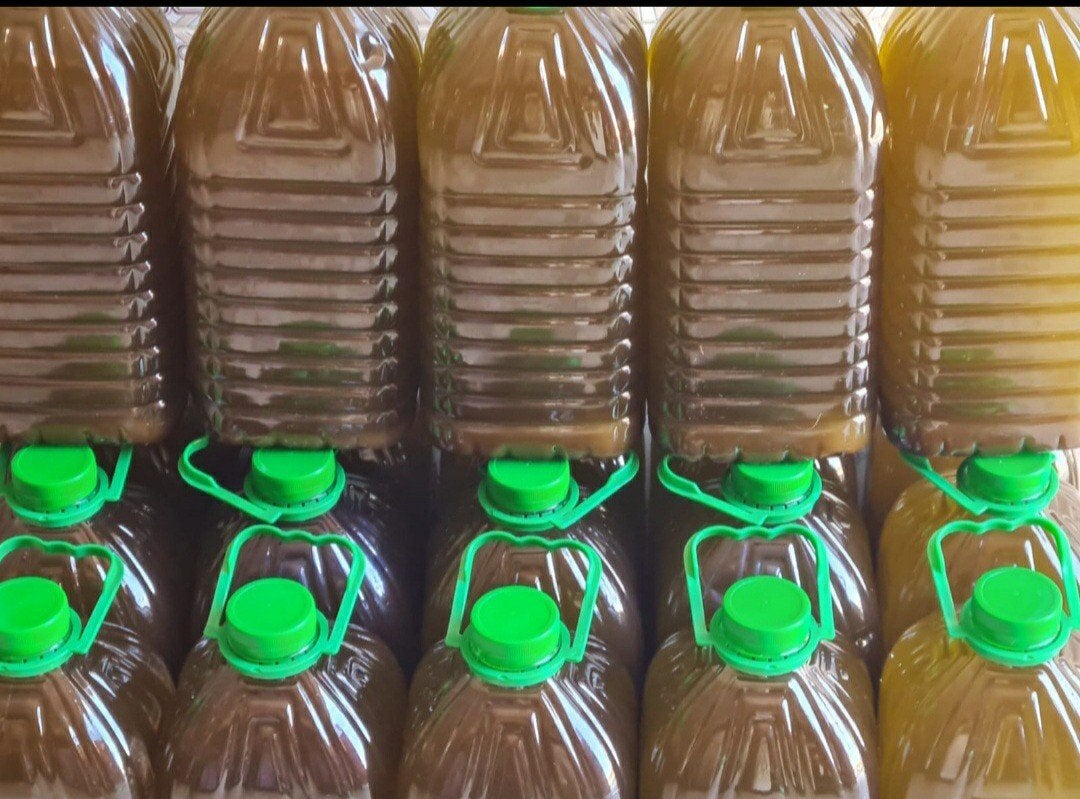 olijfolie is puur en biologisch meegenomen uit Marokko, Ophalen of Verzenden, Nieuw, Overige typen